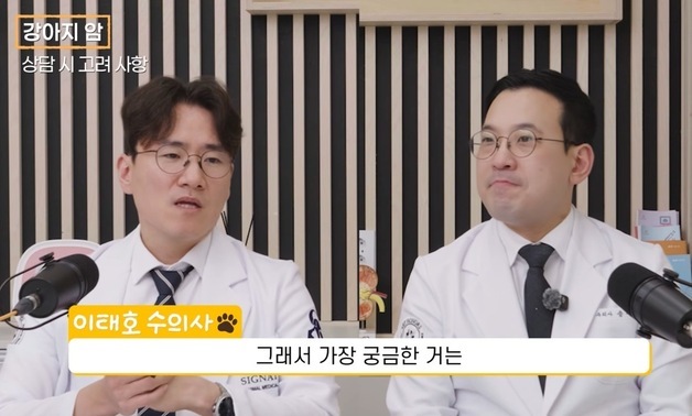 "항암 안 하면 3개월, 치료하면 1년"…강아지 암 치료의 진실