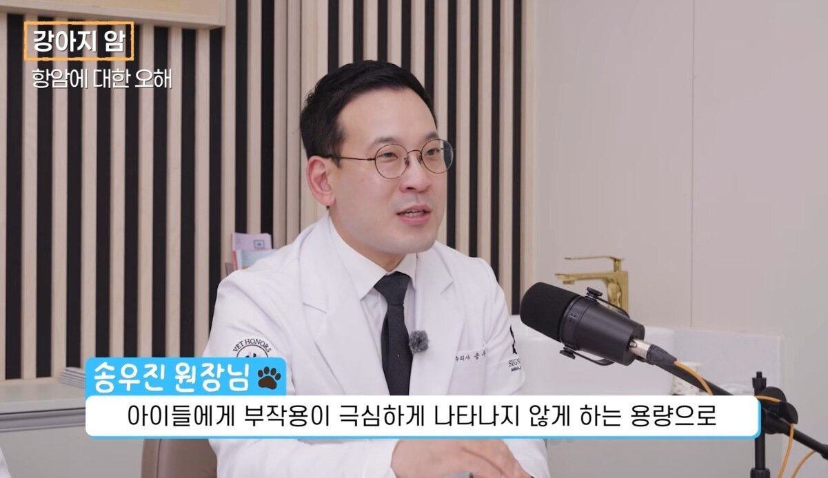 본문 이미지 - 송우진 시그니처동물의료센터 원장이 유튜브 '수의사 이태호' 채널에 출연해 반려동물 항암치료에 대해 전하고 있다(유튜브 갈무리). ⓒ 뉴스1