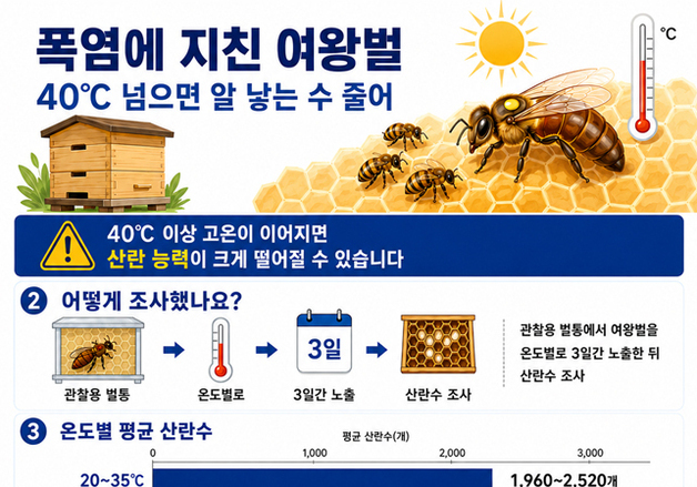 폭염에는 여왕벌도 산란 감소…농진청 "벌통 내부 온도 관리 필요"