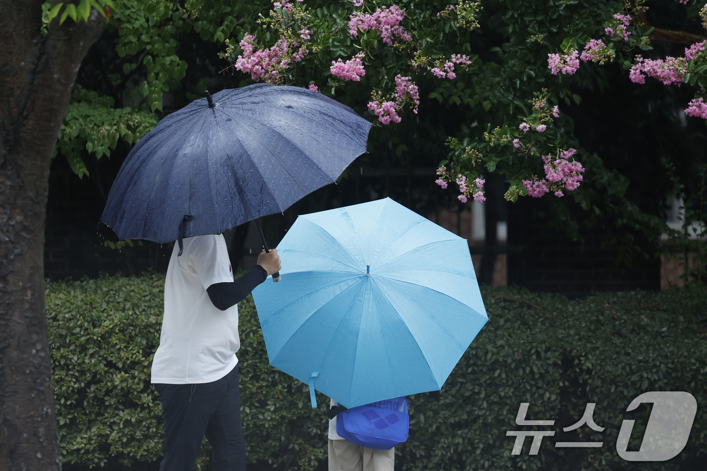 (광주=뉴스1) 김태성 기자 = 폭염특보가 계속 이어지는 가운데 4일 오후 전남광주통합특별시 서구 일부 지역에 소나기가 내리고 있다. 2026.8.4/뉴스1