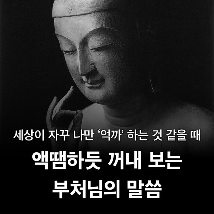 본문 이미지 - '부처의 감정 수업'은 감정을 억누르기보다 삶을 움직이는 에너지로 다룰 방법을 짚는다.