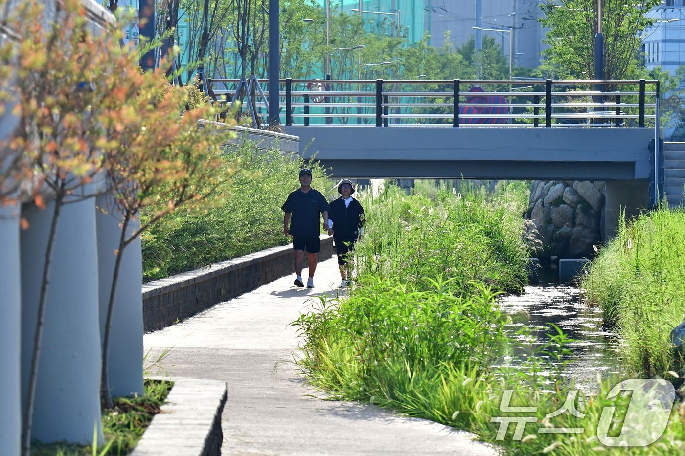 (포항=뉴스1) 최창호 기자 = 5일 오전 경북 포항시 북구 학산천에서 아침 산책을 나온 시민들이 산책로를 따라 걸어가고 있다. 2026.8.5/뉴스1