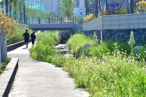 학산천 산책로