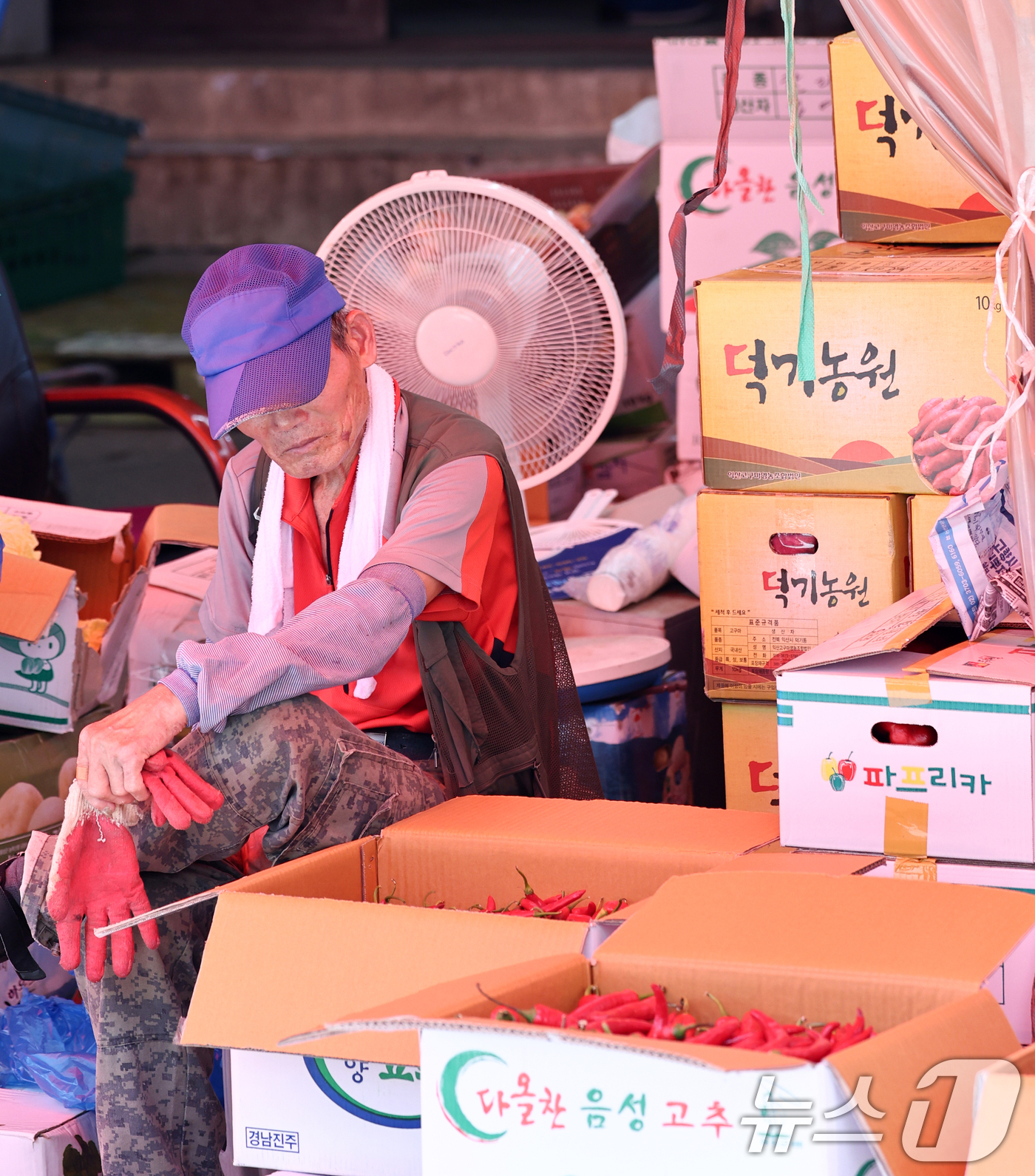 (서울=뉴스1) 최지환 기자 = 서울 전역에 폭염중대경보가 발령된 5일 서울 동대문구 경동시장에서 한 상인이 선풍기 밑에서 쉬고 있다. 2026.8.5/뉴스1