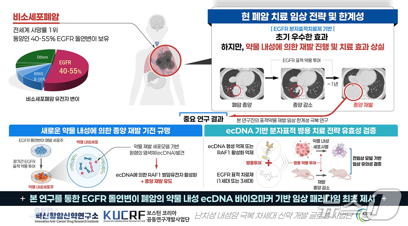 본문 이미지 - 연구 결과 모식도.(단국대 제공)