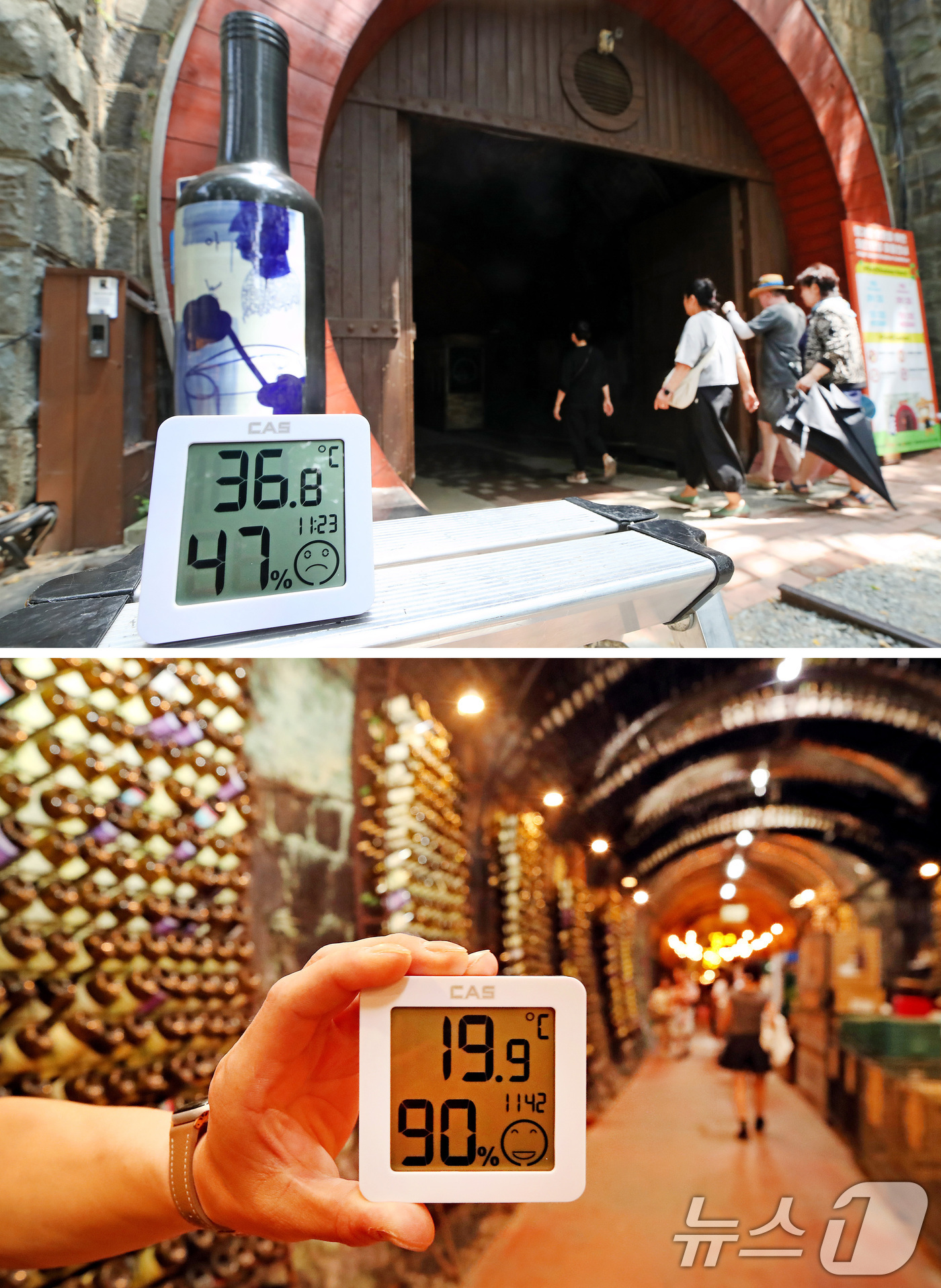 (청도=뉴스1) 공정식 기자 = 가을에 접어든다는 절기 입추(立秋)를 이틀 앞두고 폭염이 계속된 5일 경북 청도군 화양읍 와인터널 입구 온도가 36.8도를 가리키고 있다. (사진 …