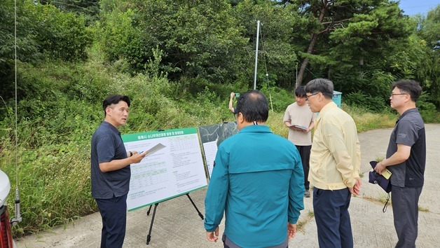 남송희 동부산림청장, 동해시 소나무재선충병 방제현장 점검