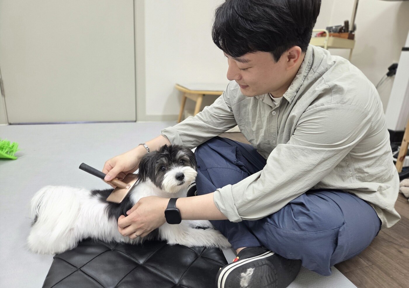 본문 이미지 - 유정민 카밍독 대표가 올바른 빗질 시범을 보이고 있다. ⓒ 뉴스1