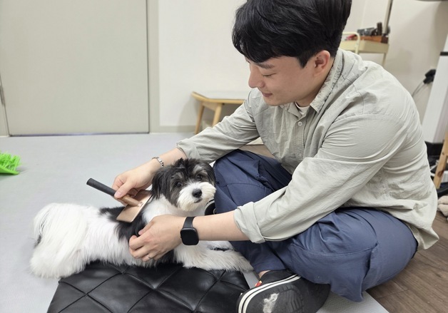 "털 빡빡 밀지 마세요"…강아지를 시원하게 하는 건 '바람길'