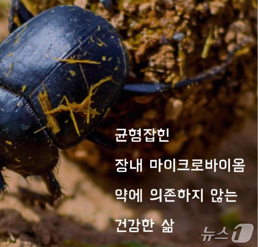 본문 이미지 - 약사이자 유튜브 채널 '약드라이브' 운영자 이희태가 마이크로바이옴(장내 미생물)을 새로운 시각에서 풀어낸 건강 교양서 '나는 반려미생물과 산다'를 펴냈다.