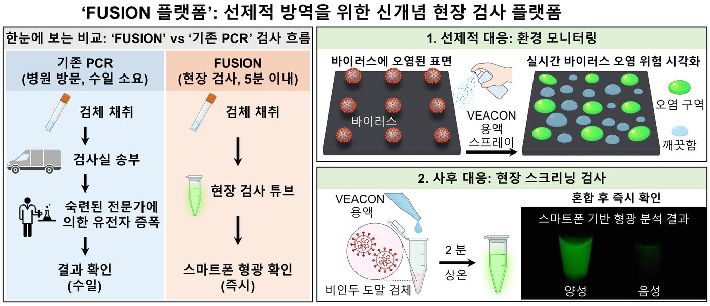 본문 이미지 - KIST 연구진이 개발한 '퓨전(FUSION) 플랫폼'의 활용 방식. 기존 PCR 검사와 달리 별도의 유전자 추출·증폭 과정 없이 검체와 용액을 섞어 감염성 바이러스를 확인할 수 있으며, 표면에 용액을 뿌려 바이러스 오염 구역을 형광으로 표시할 수도 있다.(KIST 제공)