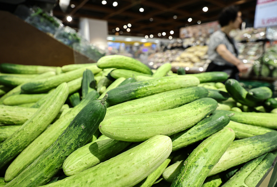 폭염에 채소가격도 '펄펄'