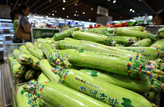 폭염에 채소가격도 '펄펄'