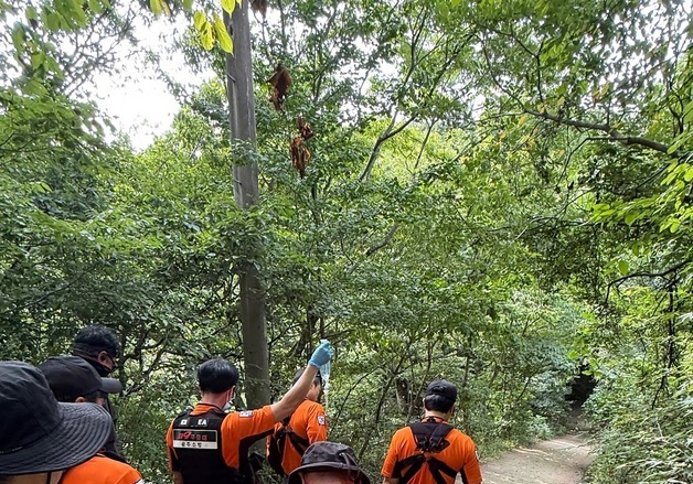 폭염 속 무등산 오른 20대 열경련 증상…소방 구조