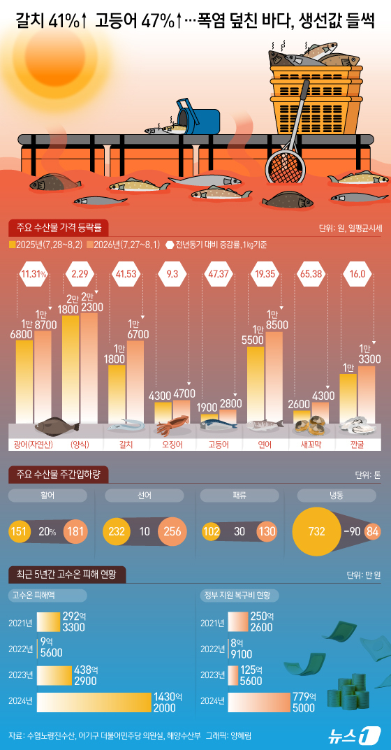(서울=뉴스1) 양혜림 디자이너 = 연일 이어지는 폭염으로 바다 수온까지 치솟으면서 주요 수산물 가격이 오름세를 보이고 있다. 특히 여름철 소비가 많은 갈치와 고등어를 비롯해 오징 …