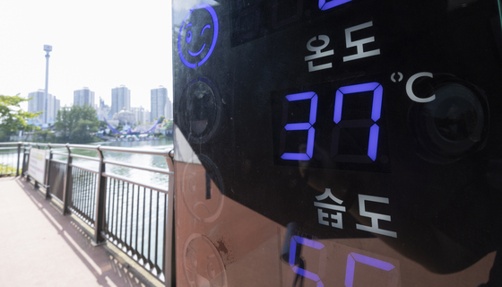 '38.6도 극한 폭염' 전남광주서 하루새 가축 6만7000마리 폐사