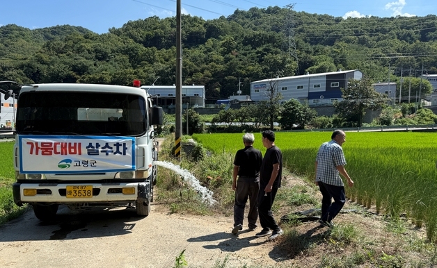 저수율 50% 고령군, 급수차 동원 논에 물 공급