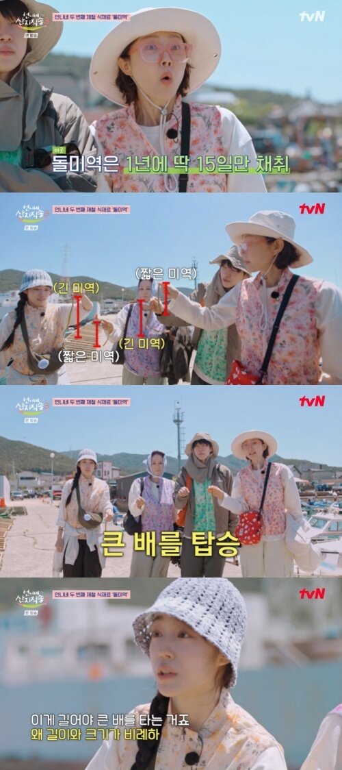 본문 이미지 - tvN '언니네 산지직송3' 화면 캡처