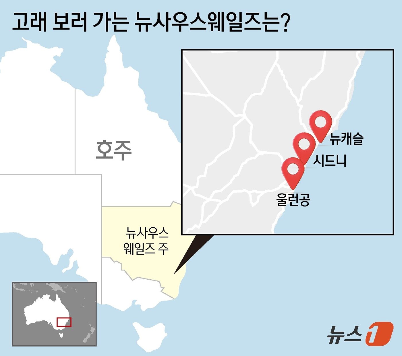 본문 이미지 - ⓒ 뉴스1 김지영 디자이너