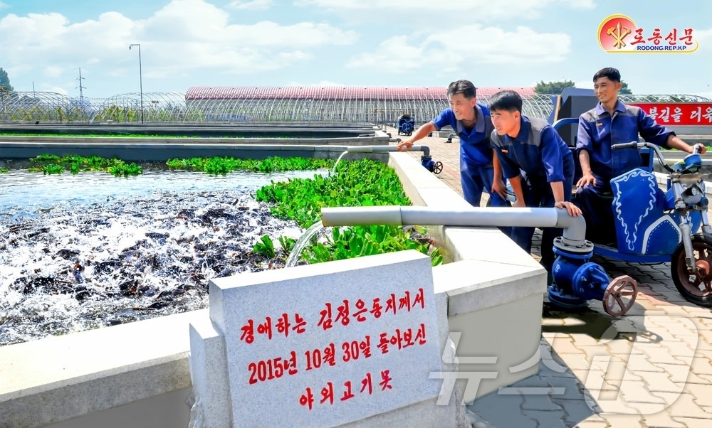 (평양 노동신문=뉴스1) = 북한 노동당 기관지 노동신문은 8일 "평양메기공장 종업원들이 야외고기못에서 욱실거리는 메기들을 보며 인민들에게 더 많은 물고기를 생산하여 보내줄 일념에 …