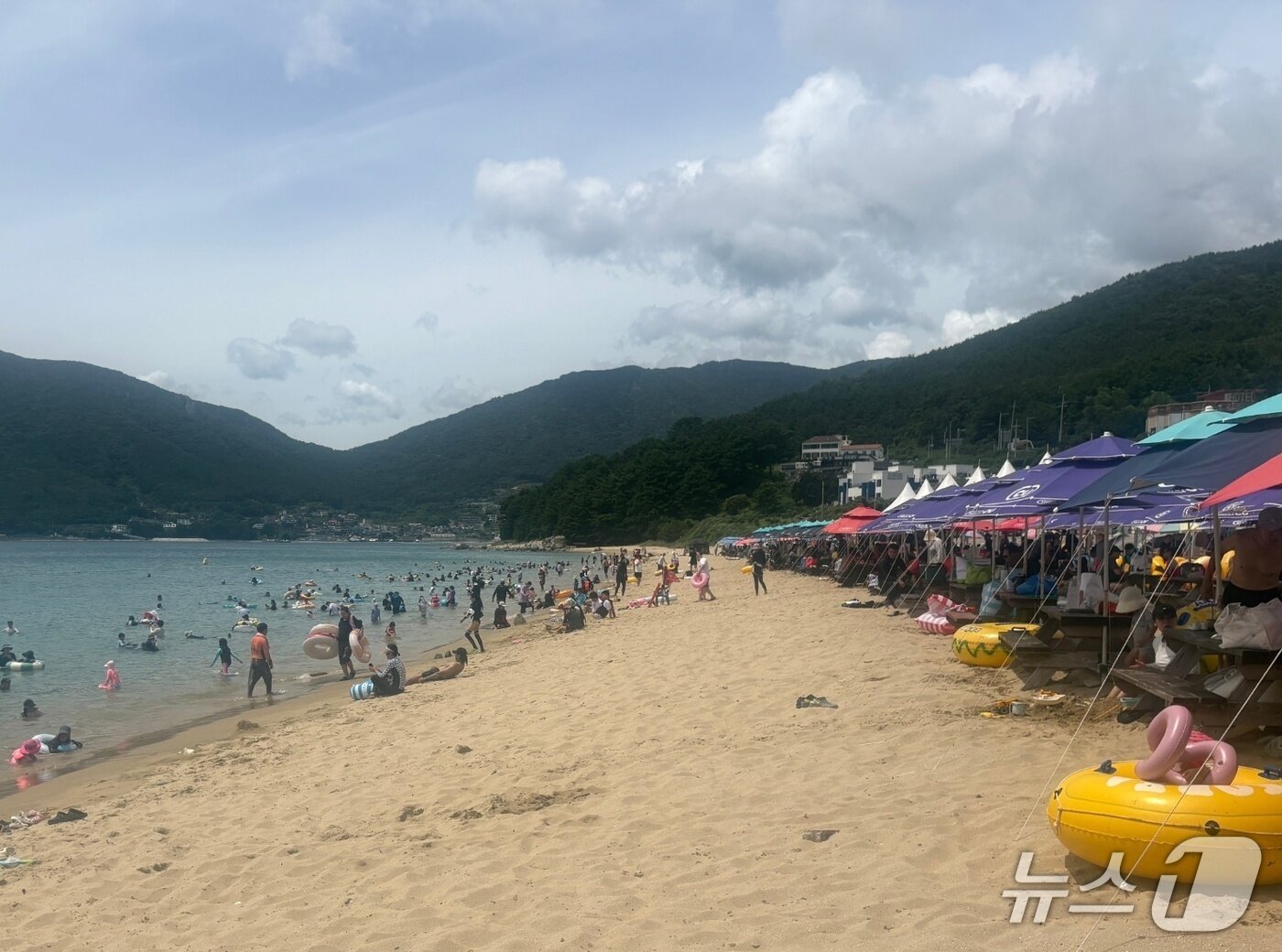 본문 이미지 - 거제 구조라 해수욕장을 찾은 피서객들이 물놀이를 즐기고 있다.(독자  제공. 재판매 및 DB금지)