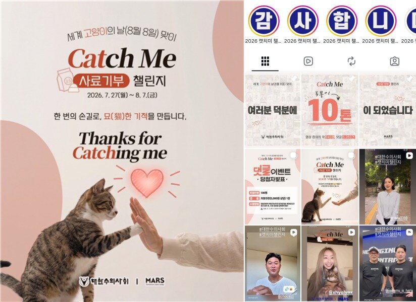 본문 이미지 - 캣치미 챌린지(대한수의사회 인스타그램) ⓒ 뉴스1
