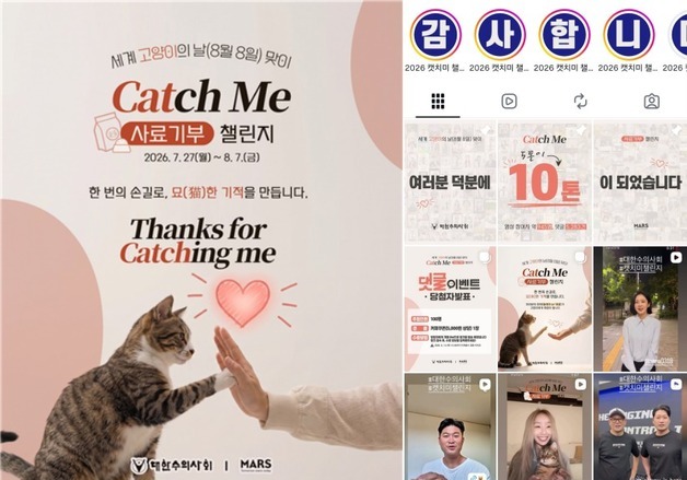 장나라에 효린, 전국민 캠페인 된 '캣치미 챌린지'…10톤의 기적