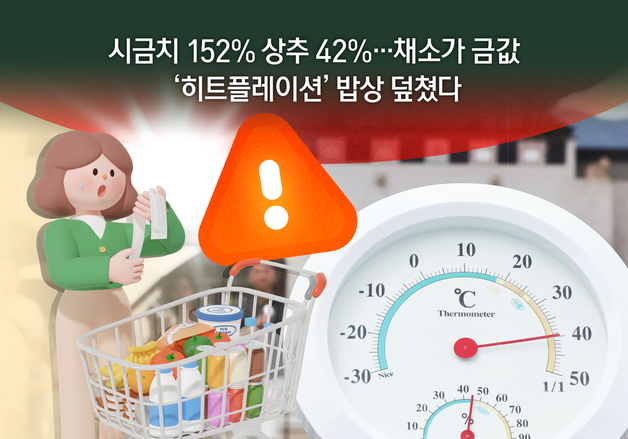 [오늘의 그래픽] 시금치 152%↑ 상추 42%↑, 채소가 금값…'히트플레이션' 밥상 덮쳤다