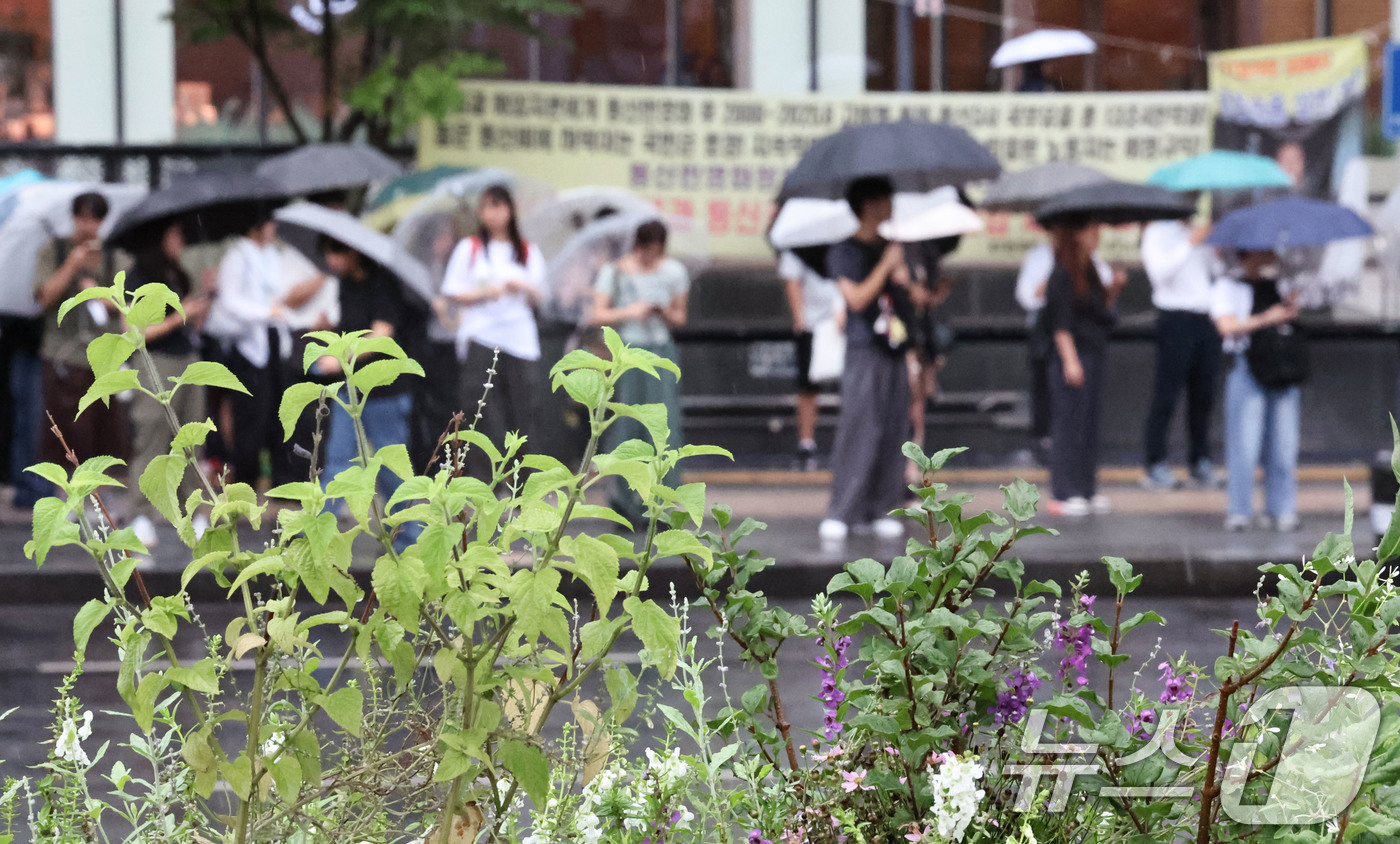 (서울=뉴스1) 이종수 기자 = 중부지방을 중심으로 돌풍을 동반한 비가 내린 1일 오전 서울 종로구 광화문광장 일대에서 시민들이 우산을 쓴 채 발걸음을 옮기고 있다. 기상청은 이날 …