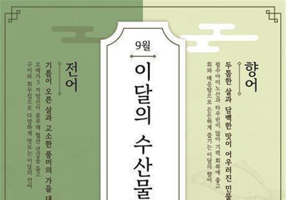 가을 대표 생선 '전어'·담백한 맛 '향어'…9월 이달의 수산물로 선정