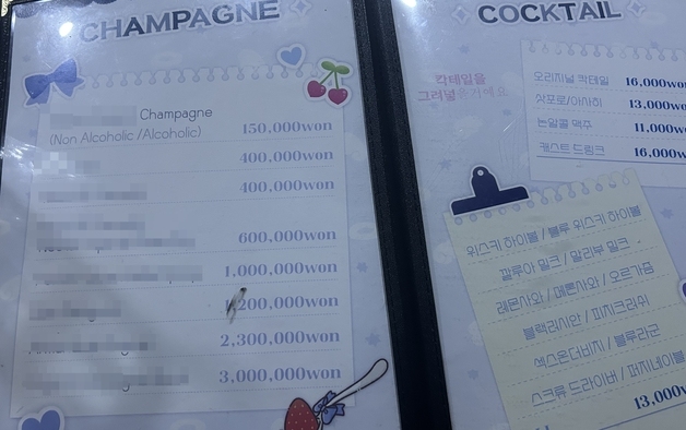 메이드가 무대에서 춤을…경찰, 홍대 메이드카페 2곳 수사 착수