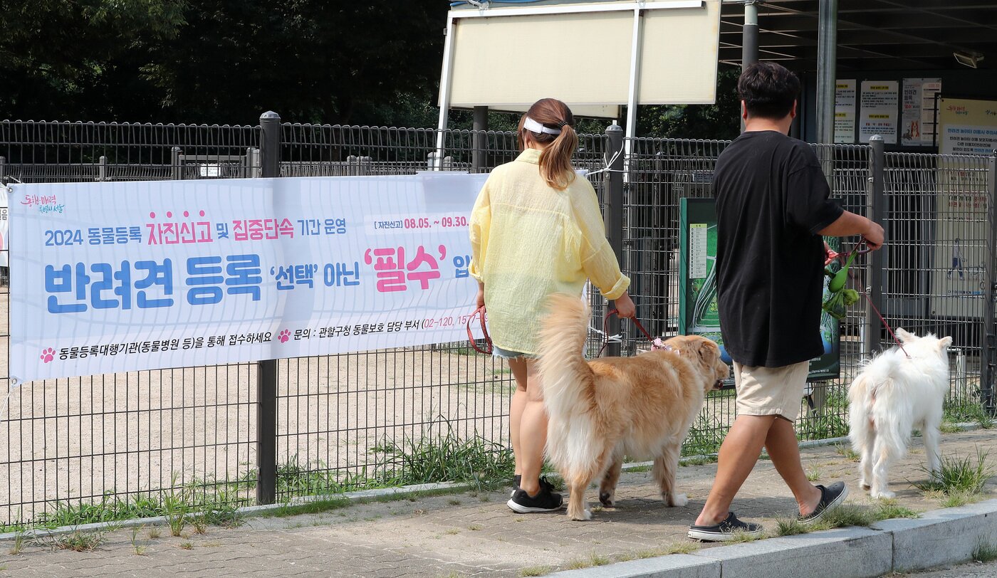 본문 이미지 - 반려견 동물등록 안내 현수막. 간담회에서는 동물등록제의 실효성을 높이기 위해 '갱신제' 도입이 필요하다는 의견이 나왔다. ⓒ 뉴스1