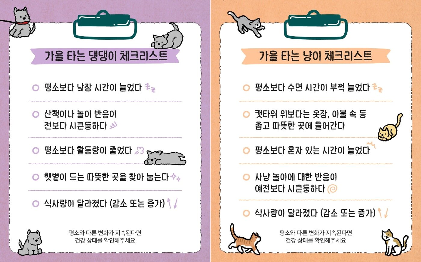 본문 이미지 - 가을 타는 반려동물 체크리스트(우리와 제공) ⓒ 뉴스1