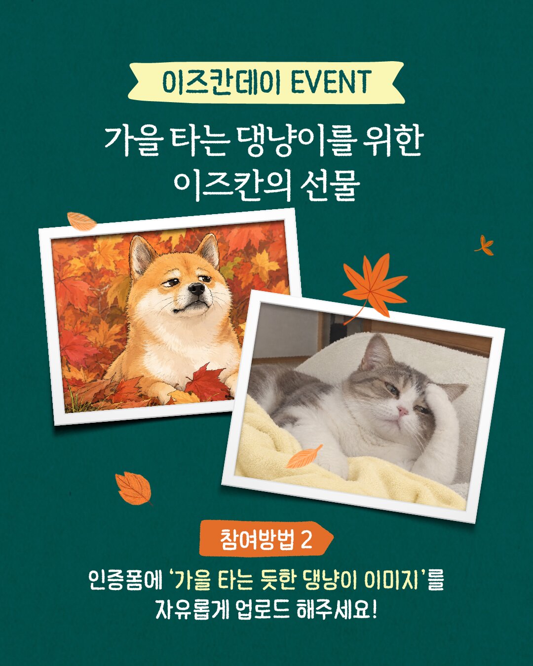 본문 이미지 - 이즈칸은 가을을 맞아 강아지·고양이 보호자를 위한 '가을댕냥이 선물' 이벤트를 진행한다(우리와 제공). ⓒ 뉴스1