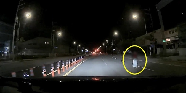 귀신도 아니고…야간 주행 중 도로 한복판서 손 번쩍 든 사람, 블박 '소름'