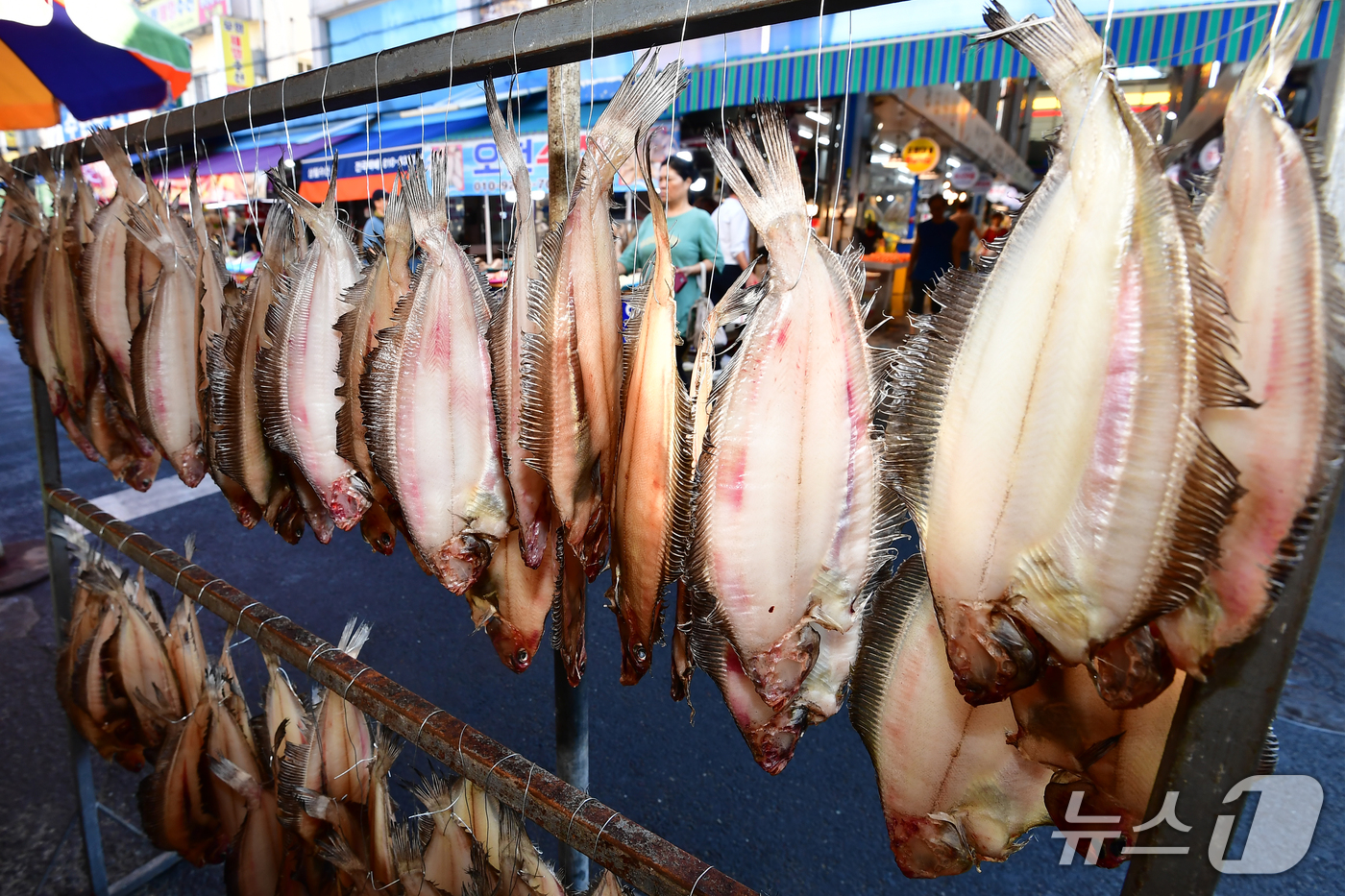 (포항=뉴스1) 최창호 기자 = 13일 오전 경북 포항시 죽도어시장 건어물 골목에 물가자미가 주렁주렁 매달려 있다.  2026.9.13/뉴스1