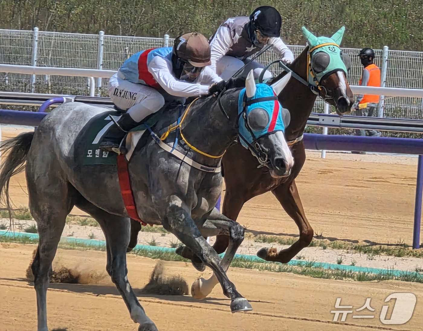 (영천=뉴스1) 정우용 기자 = 13일 개장한 영천 경마장에서 첫 경기 경주마들이 치열한 순위다툼을 벌이고 있다. 2026.9.13/뉴스1