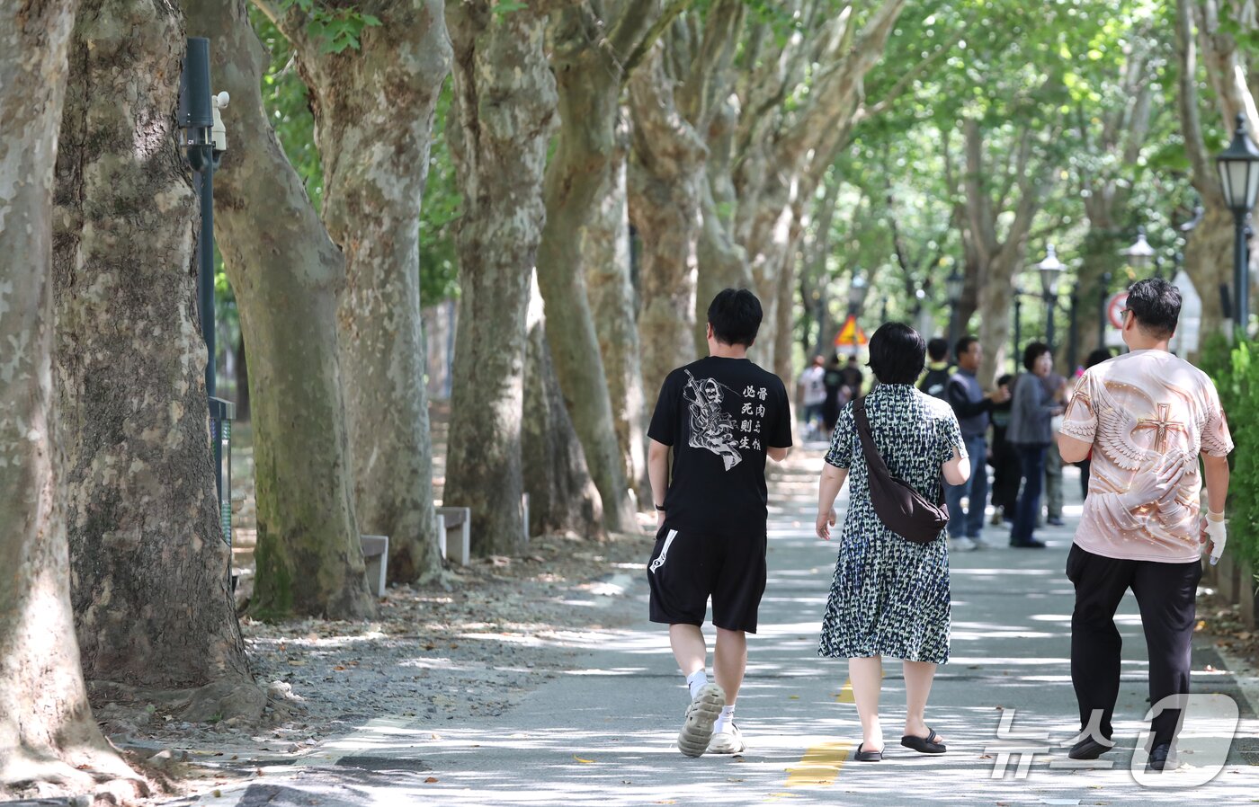 본문 이미지 - 13일 낮 12시쯤 전남광주 담양군 담양읍 관방제림에서 산책하는 시민들. ⓒ 뉴스1 안재영 기자