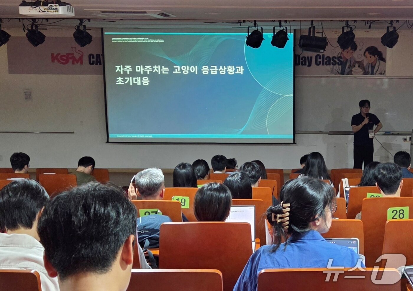 본문 이미지 - 손성지 수의사가 13일 서울 광진구 세종대 대양AI센터에서 열린 'KSFM 캣 캠프'에서 강의를 하고 있다. ⓒ 뉴스1 최서윤 기자