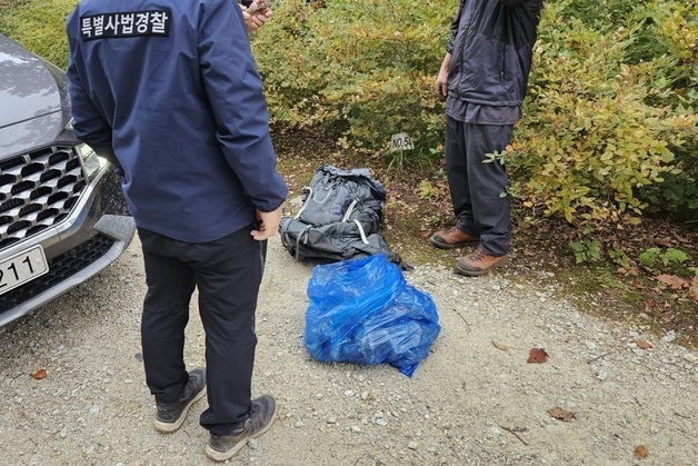 "산주 동의 없는 임산물 채취는 불법"…산림청, 불법행위 집중 단속