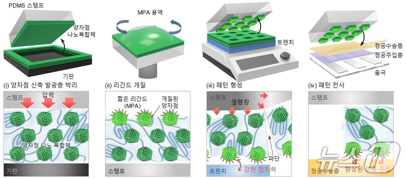 본문 이미지 - 연구진이 개발한 공정 모식도. 하부의 그림들은 공정 과정 중 발광층 내 양자점을 자세히 표현하였다. (울산과학기술원 유지수 박사 제공. 재판매 및 DB금지)2026.9.15/뉴스1