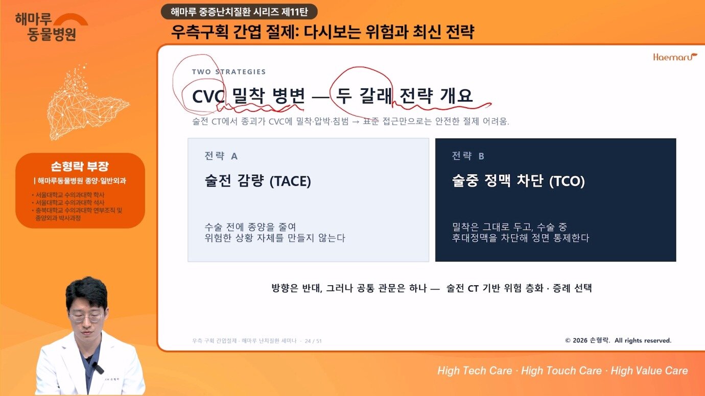 본문 이미지 - 해마루이차진료동물병원 웨비나 장면 갈무리 ⓒ 뉴스1
