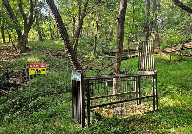 의정부시 추동근린공원 멧돼지 잇단 출몰…포획틀 설치