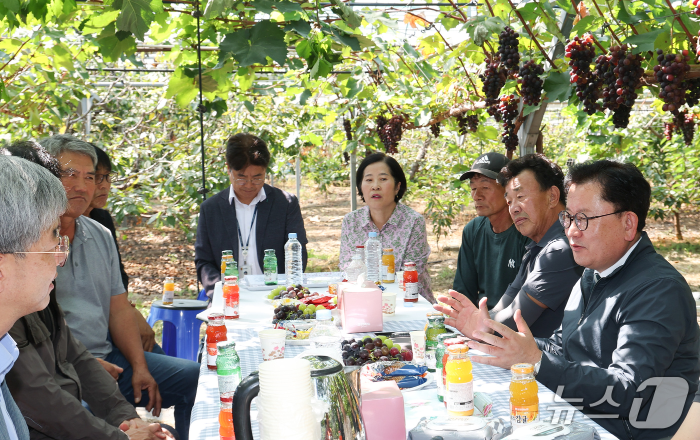 (서울=뉴스1) = 이승돈 농촌진흥청장이 15일 경기도 화성시 서신면 포도작목반을 찾아 온열질환 예방 관리 기술의 현장 적용성을 살펴보고 농업인들의 의견을 듣고 있다. (농촌진흥청 …