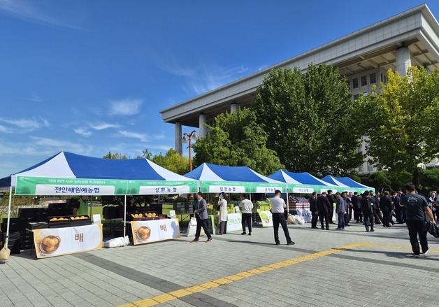 충남 농특산물 추석맞이 온오프라인 할인 판매…기획전 등 운영