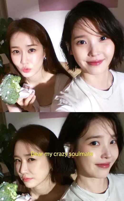 본문 이미지 - 아이유 유인나/인스타그램 캡처