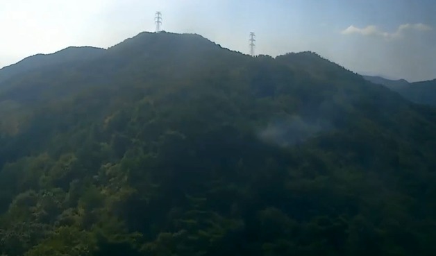 창원 마산합포구 야산 불…1시간 만에 진화
