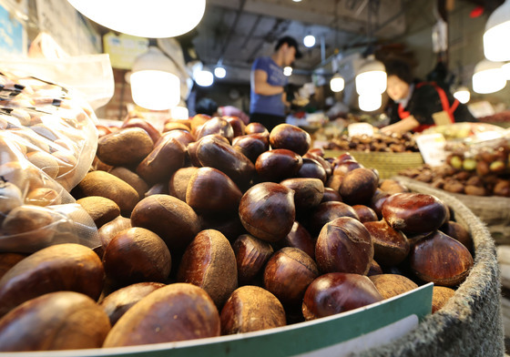 추석 차례상 비용 4.1% 올라… 전통시장 기준 30만원대