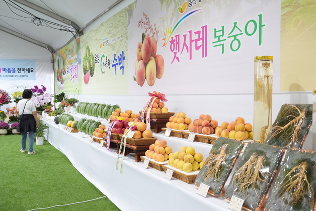 2026 음성명작페스티벌 17~20일 나흘간 금왕읍서 '팡파르'