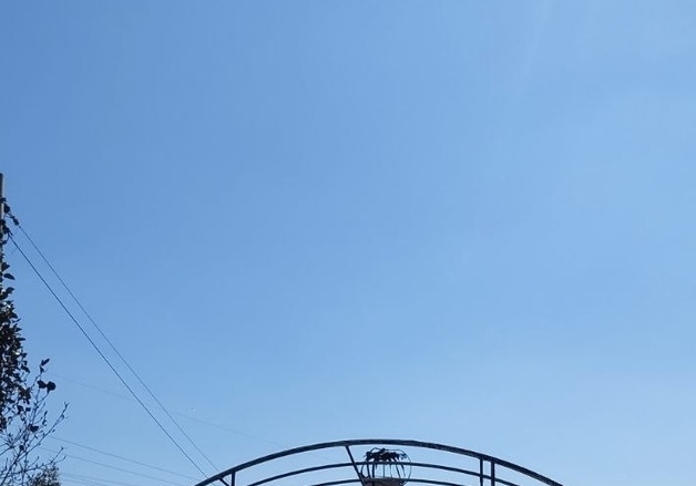안산 농작물 재배용 비닐하우스서 불…10여분 만에 진화